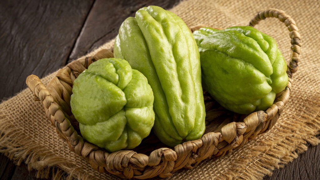 Cultivar alimentos em casa virou tendência e o chuchu é o queridinho da vez