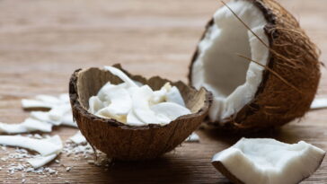 O segredo por trás do coco que está chamando atenção dos especialistas