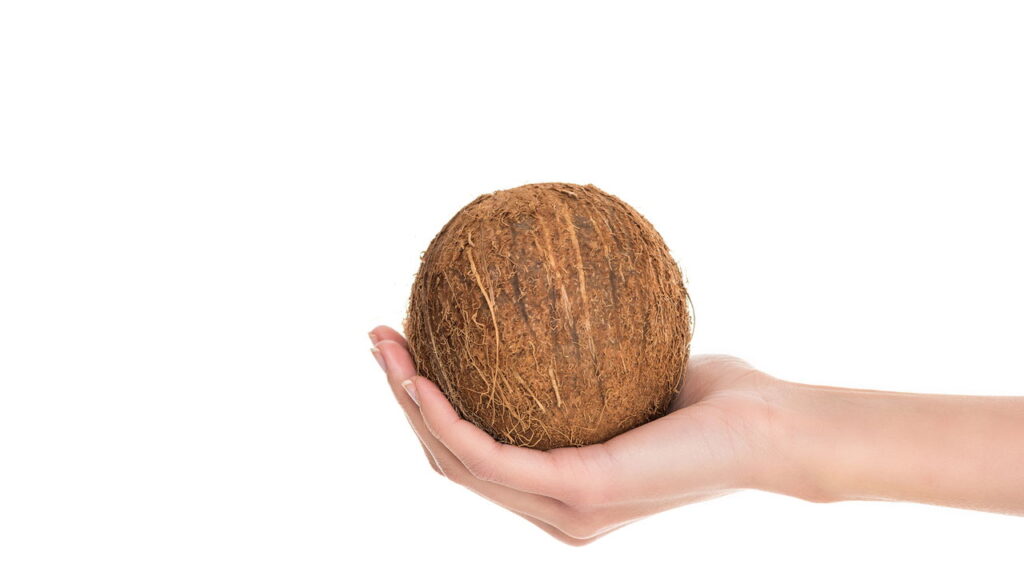 O segredo por trás do coco que está chamando atenção dos especialistas