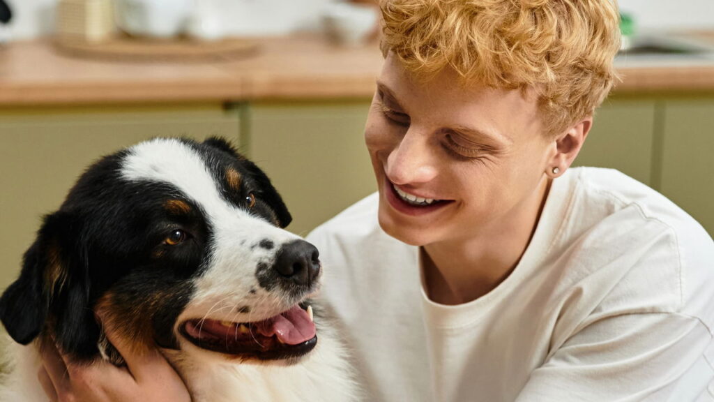 Como construir uma casinha de cachorro: um guia passo a passo