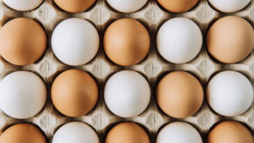 Esse detalhe simples está mudando a forma de preparar omelete no mundo todo