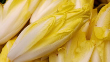 A salada que virou tendência nos jantares mais elegantes