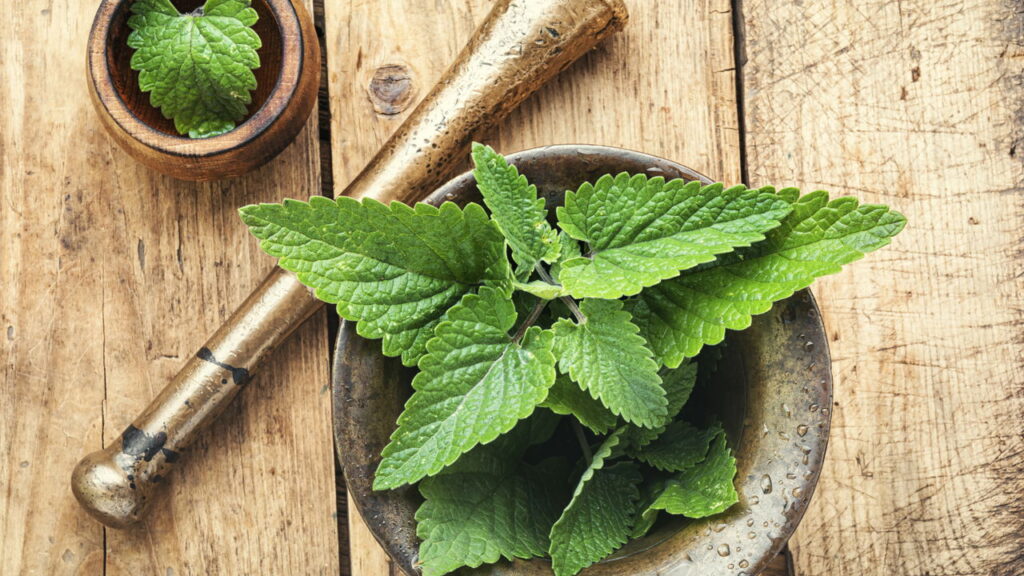 O segredo natural por trás do chá que acalma corpo e mente
