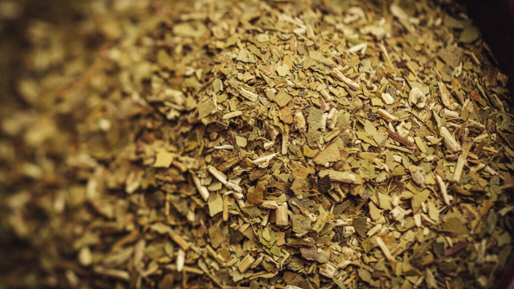 O segredo do sucesso no cultivo da erva-mate está na escolha do solo