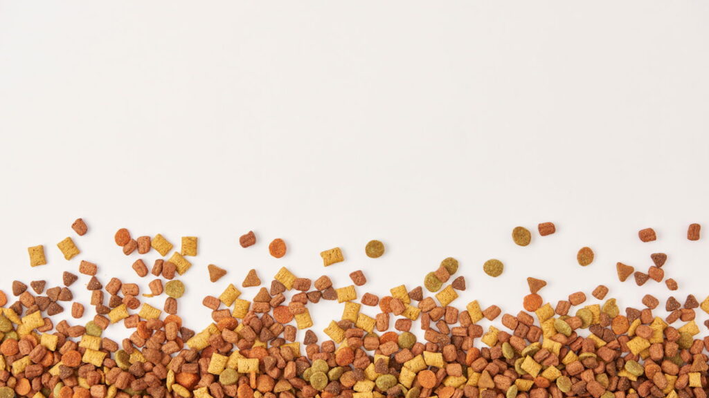 Esses alimentos podem parecer inofensivos mas causam sérios danos ao seu gato