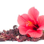 Transforme seus apliques com uma flor que esbanja cor delicadeza e vida