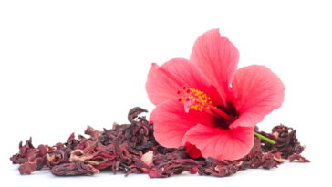 Transforme seus apliques com uma flor que esbanja cor delicadeza e vida