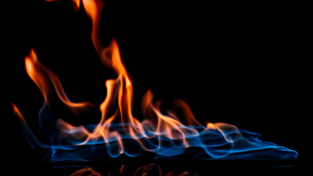 O que ninguém te contou sobre o uso da estufa elétrica no inverno