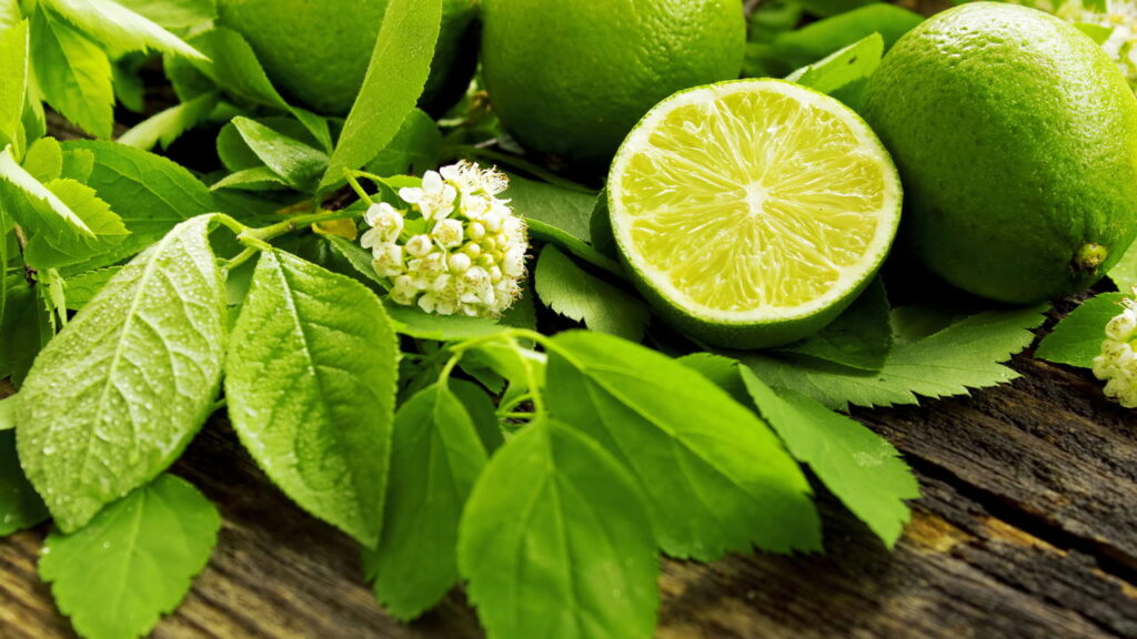 Cultivar limão em casa é mais simples do que parece e transforma sua rotina
