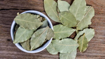 Transforme seu encanamento com esse método natural e aromático