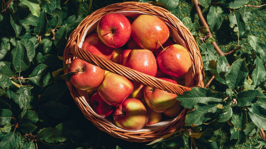 O segredo por trás da fruta mais versátil que você pode plantar em casa