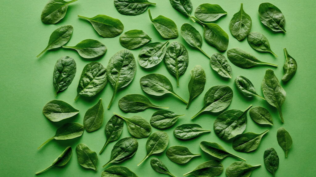 O aroma que acalma o corpo e surpreende os especialistas