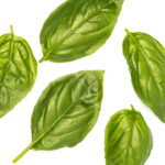 O tempero mais versátil da cozinha que cabe em qualquer cantinho da casa