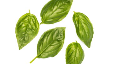 O tempero mais versátil da cozinha que cabe em qualquer cantinho da casa