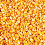 O bolinho de milho sem fritura que virou tendência nas redes de receitas