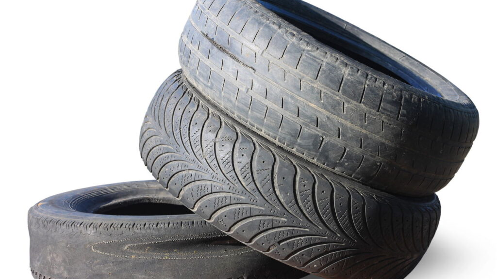Este simples item esquecido na garagem virou febre entre tutores de pets