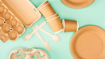 Por que os pratos de papelão são a melhor escolha para festas sustentáveis