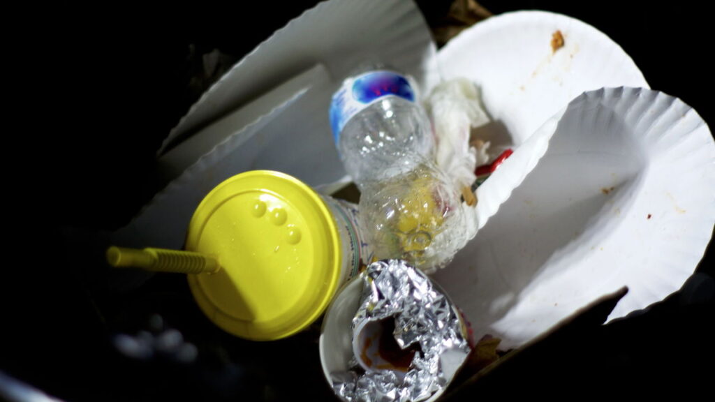 Por que os pratos de papelão são a melhor escolha para festas sustentáveis