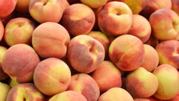 Essa fruta fácil de plantar pode mudar sua alimentação