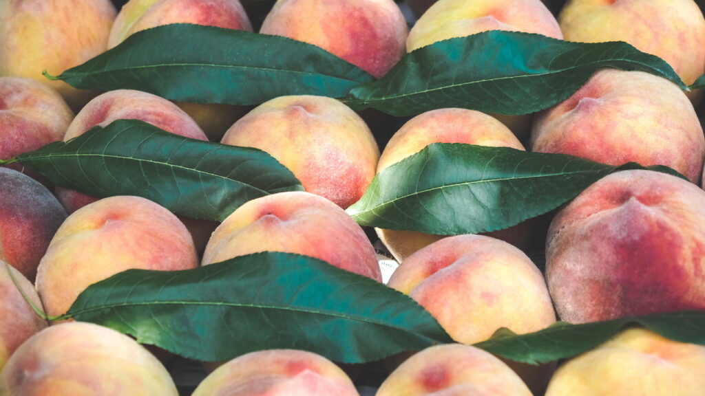 Essa fruta fácil de plantar pode mudar sua alimentação