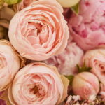 A flor que simboliza abundância e virou febre na decoração pode estar na sua casa