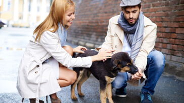Como identificar uma pessoa boa em apenas 2 minutos segundo a psicologia