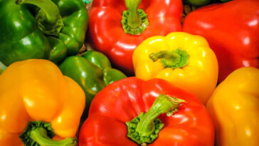 O segredo por trás do molho vermelho que virou tendência em Florença