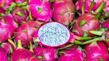 Essa fruta está conquistando os jardins brasileiros e o motivo surpreende