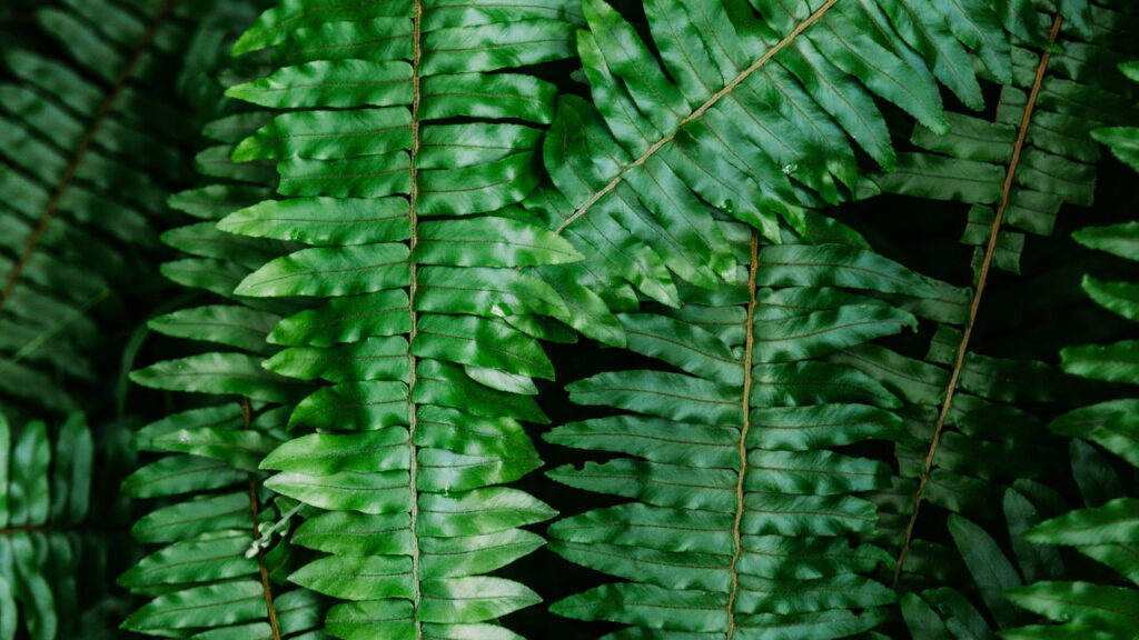 Essa peça de crochê virou tendência em casas com alma artesanal