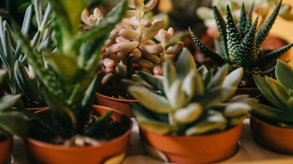 O detalhe em crochê que transformou a decoração da casa toda

