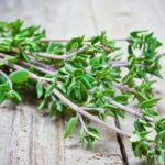 A erva que virou tendência entre quem busca saúde natural e sabor, descubra os poderes do tomilho