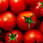 Cultivar tomate em casa nunca foi tão fácil e vantajoso, veja como cultivar corretamente