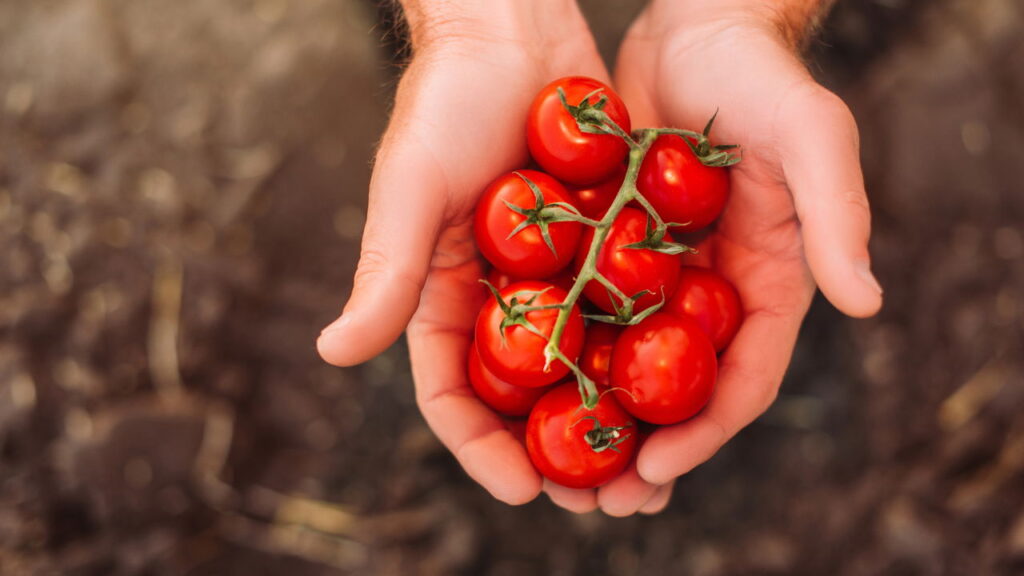 O truque simples que salva qualquer molho de tomate