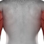 Os 2 melhores exercícios para fortalecer os tríceps e melhorar a força dos braços em casa