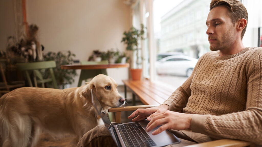 O que está levando tantos cães a rejeitarem seus tutores pode surpreender você