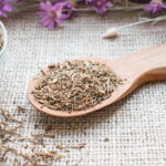 Valeriana, a planta natural mais eficaz contra insônia e estresse