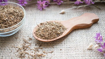 Valeriana, a planta natural mais eficaz contra insônia e estresse