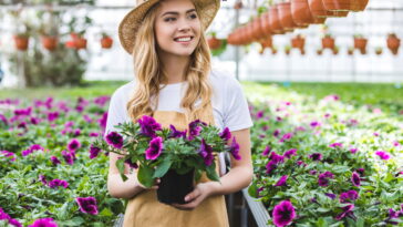 Esse truque simples vai manter suas plantas vivas por dias