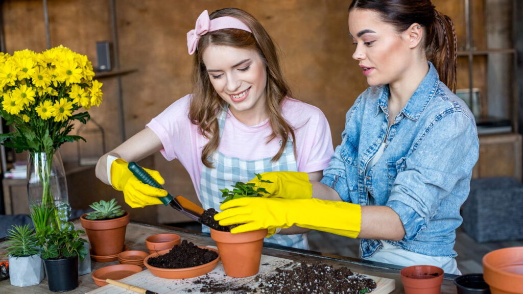 Esse truque simples vai manter suas plantas vivas por dias