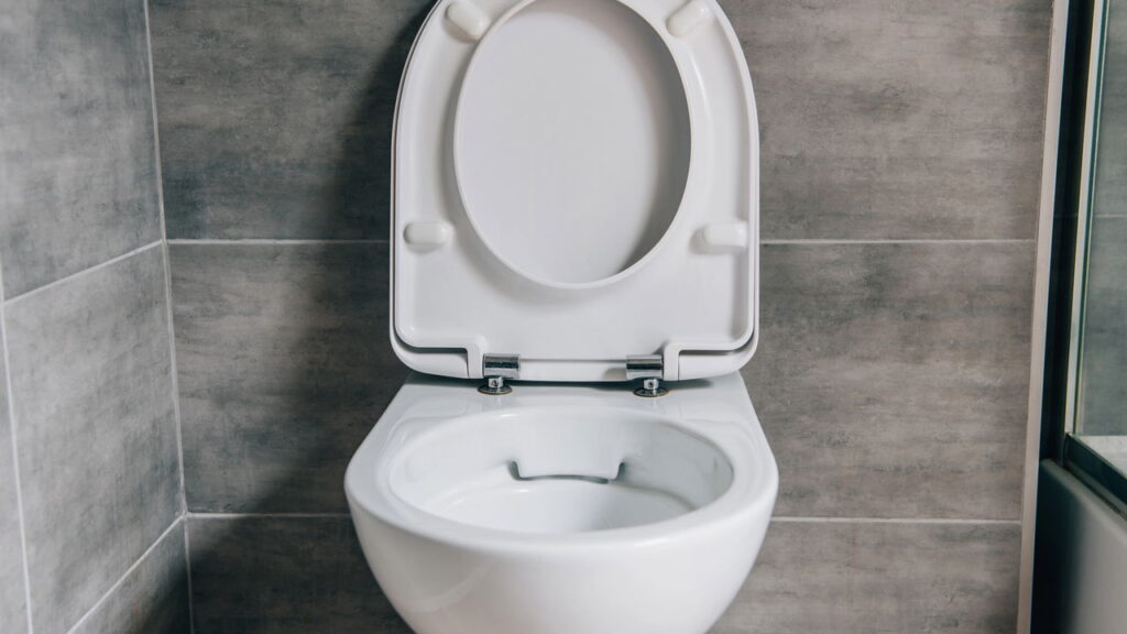 Diga adeus ao vaso manchado com essa dica simples e barata
