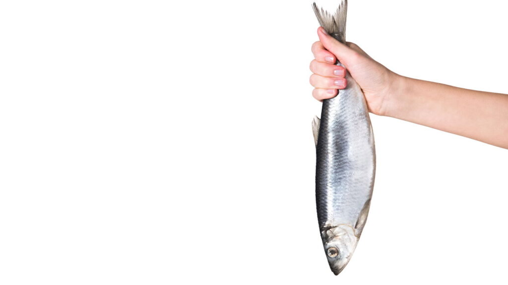 Essa receita de sopa de peixe pode mudar seu jantar nos dias frios