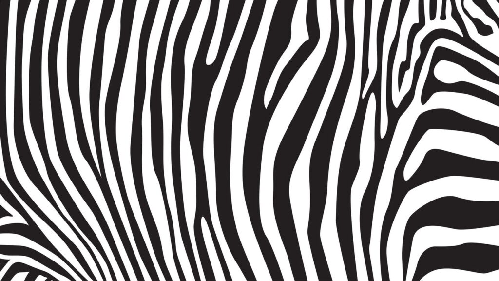 Zebra de crochê vira tendência entre artesãs, crocheteiras e amantes de amigurumi