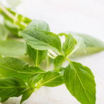 A erva aromática brasileira mais comum que fortalece sua imunidade
