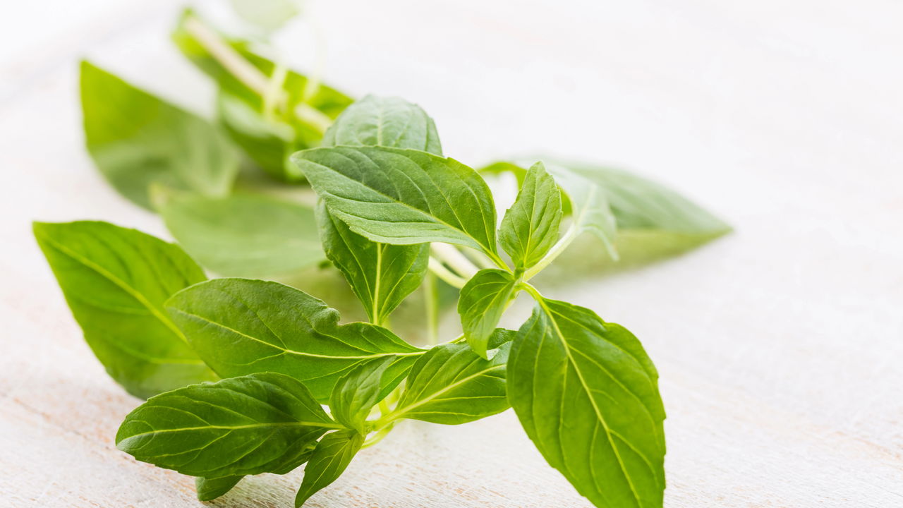 A erva aromática brasileira mais comum que fortalece sua imunidade