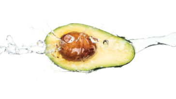 Benefícios e usos da semente de abacate para a saúde e bem-estar