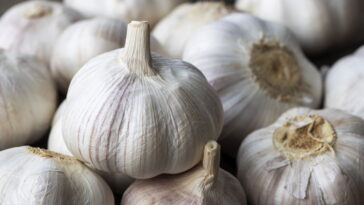 Um pequeno gesto com o alho pode trazer grandes benefícios