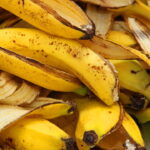 O segredo do adubo natural que deixa as plantas mais fortes