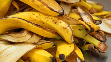 O segredo do adubo natural que deixa as plantas mais fortes