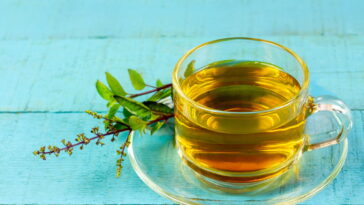 Chá de manjericão o mais poderoso aliado natural da saúde