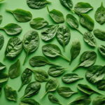 A dica de cultivo do manjericão que vai transformar sua cozinha